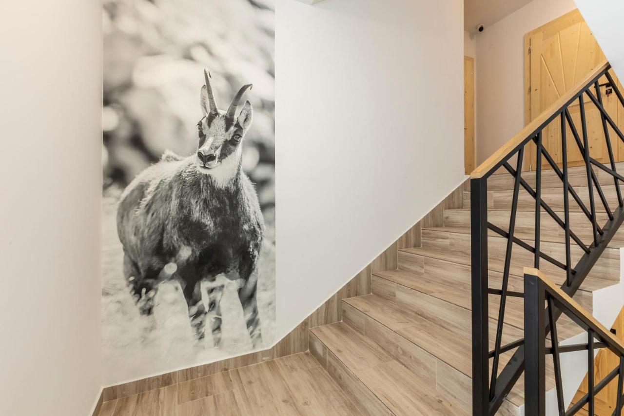 Tatrytop Apartamenty Alpejski Spa Kościelisko Exterior foto